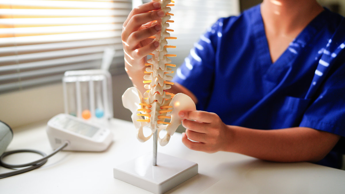 An orthopedic surgeon holds a spinal model as he demonstrates treatment methods for human spinal injuries caused by back pain during a medical consultation..