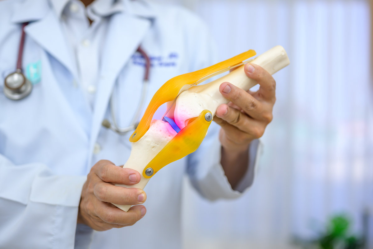 An orthopedic surgeon demonstrating treatment of a human cruciate ligament injury in a knee-joint medical teaching model.