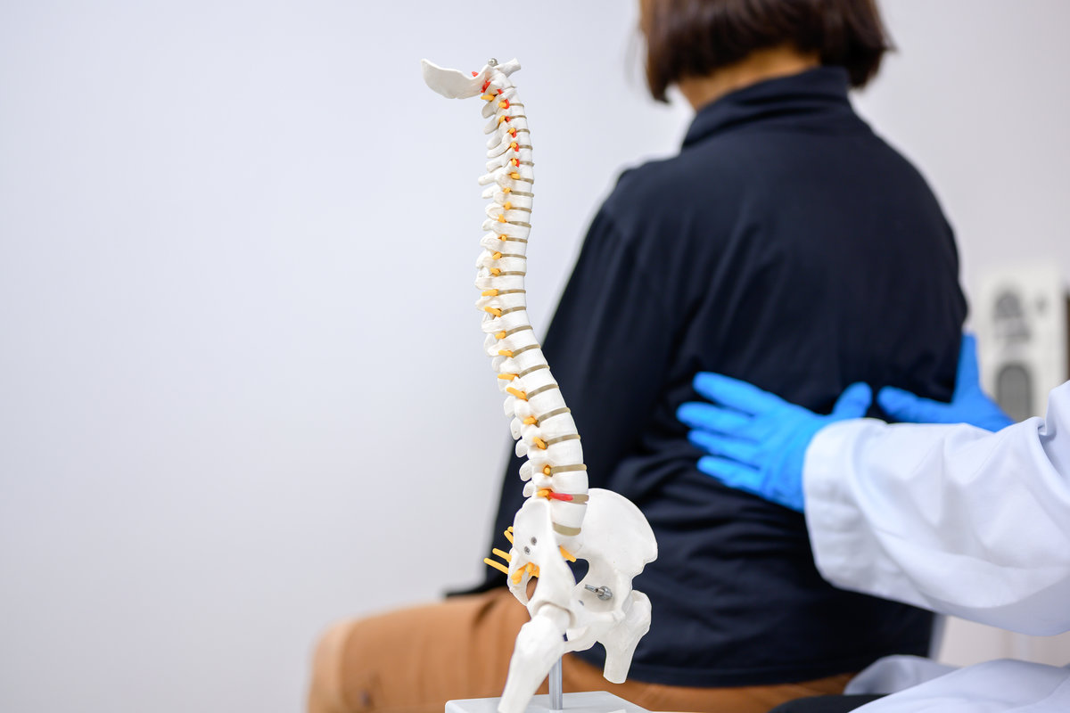 An orthopedic surgeon or therapist is showing a spinal model and explaining to a female patient her spinal problems. Back pain and health care concept